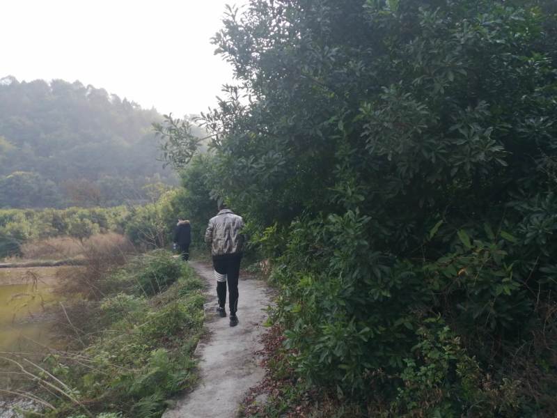 巴南安澜镇200亩文旅项目，有50多亩鱼塘，100多亩树