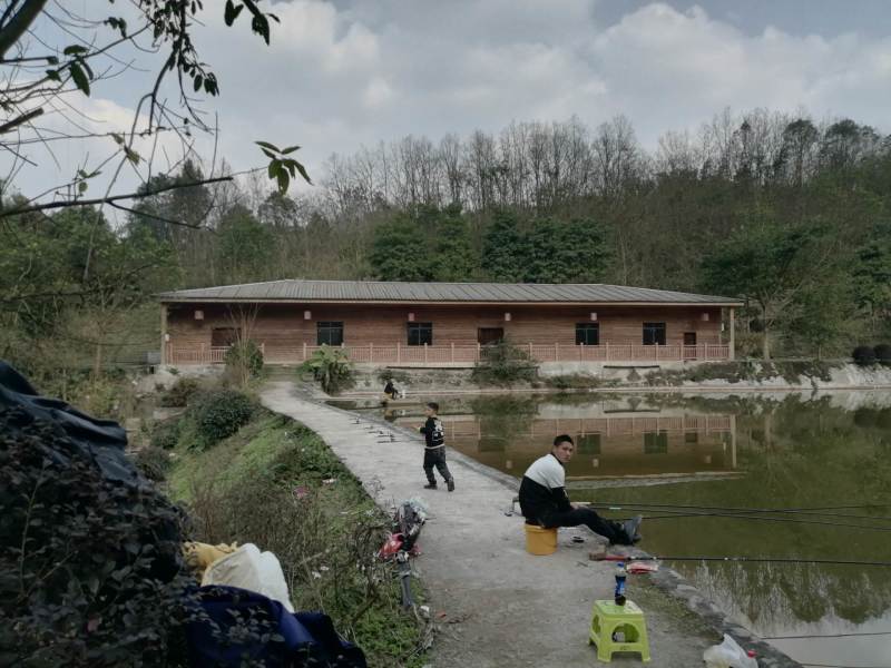 巴南安澜镇200亩文旅项目，有50多亩鱼塘，100多亩树
