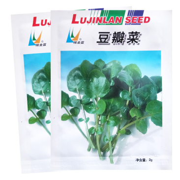豆瓣菜种子做沙拉西洋菜种子水田芥高产保健蔬菜四季