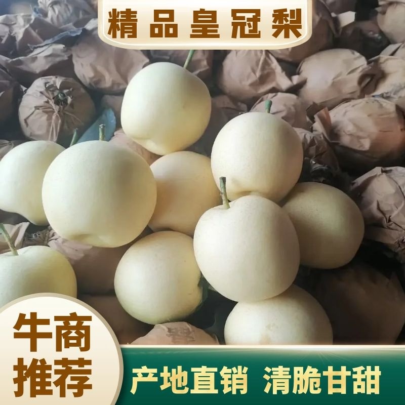 【精品】皇冠梨产地直发货源充足品种齐全欢迎实地考察
