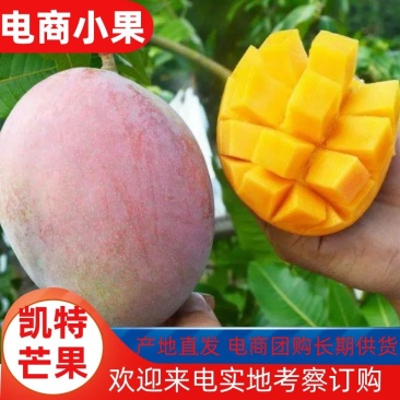 四川凯特芒果电商团购一件代发货源全国发货欢迎咨询