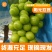 【精品】湖南阳光玫瑰产地直销一手货源欢迎联系咨询