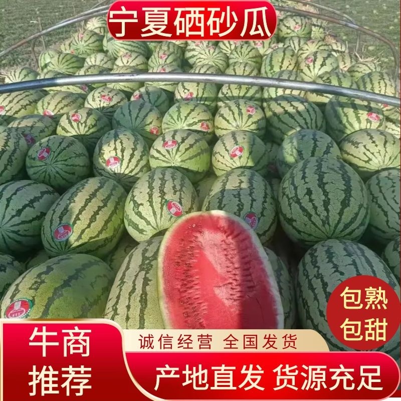 精品宁夏硒砂瓜石头包熟包甜个大皮薄水分充足全国发货