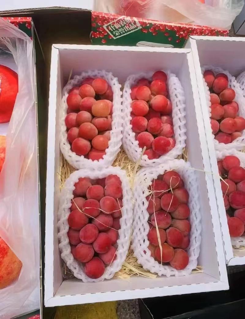 头茬妮娜皇后葡萄自家果园商超品质全国发货