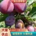 塔尔码西梅，法兰西西梅，贝欧力克西梅，全国发货