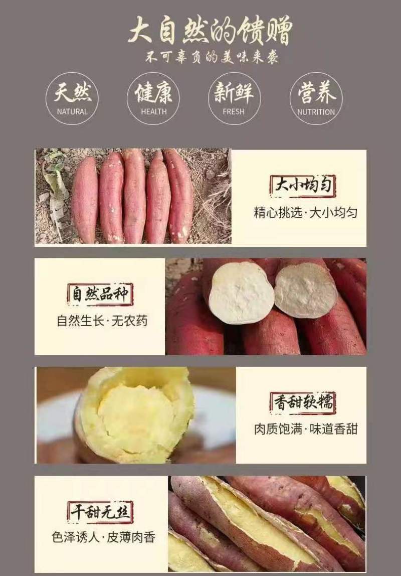 板栗红薯承接各大平台订单社区团购，可整车发货