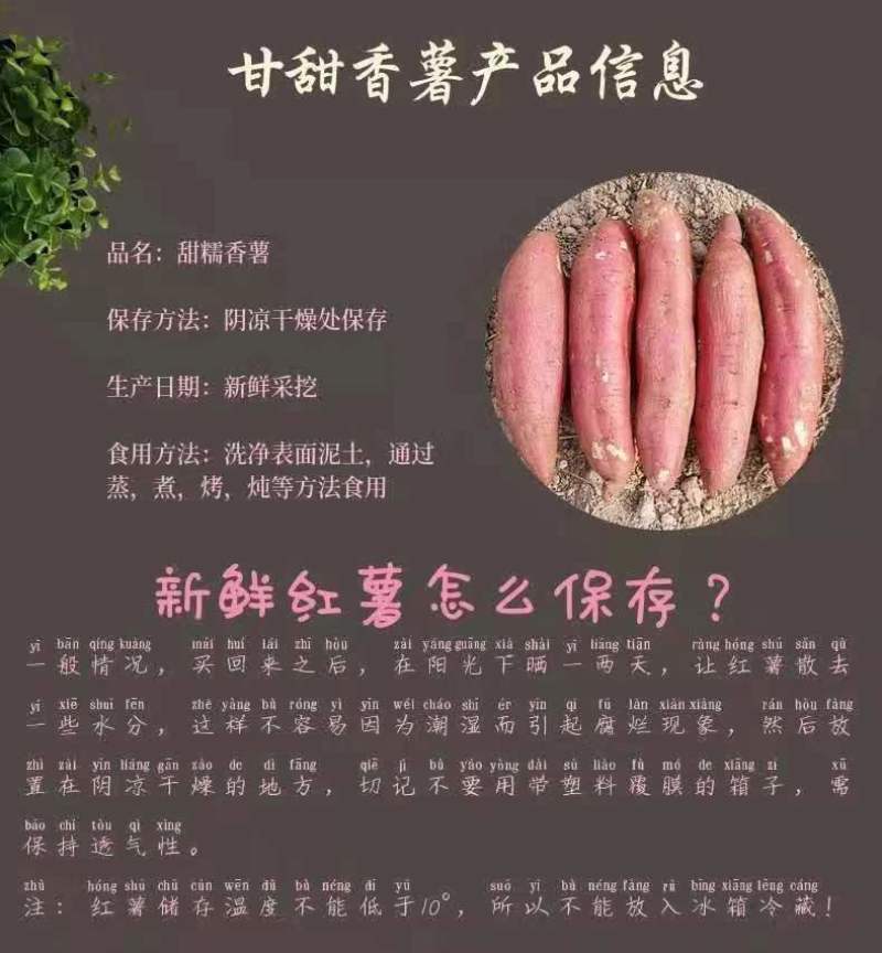 板栗红薯承接各大平台订单社区团购，可整车发货