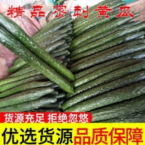 【精选】河北精品黄瓜电商供应实力代办鲜货批发量大优惠