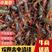 江苏小龙虾鲜活红壳虾各种规格龙虾批发一手货源自家养殖