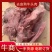 去皮牛头肉熟食焦作博爱，去油去淋巴货源稳定电联
