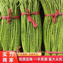 精品青条豆角长豆角无虫眼质量好诚信经营欢迎来电咨询