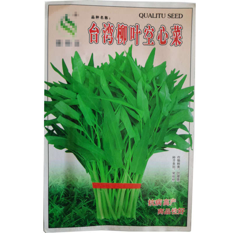 空心菜籽种种子水上四季菜苗散装批发蔬菜空心菜种籽种孑