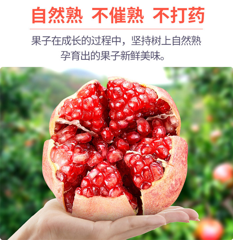 正宗突尼斯软籽石榴新鲜水果甜石榴红石榴甜石榴