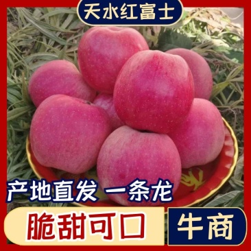 苹果甘肃天水红富士，脆甜多汁产地一手货源，整车批发
