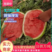 精品现摘硒砂瓜品质保障包熟包甜薄皮大红瓤