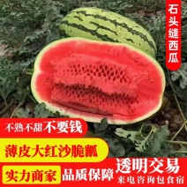 新农西瓜基地口感密甜熟度高代发全国现摘现采产地直发