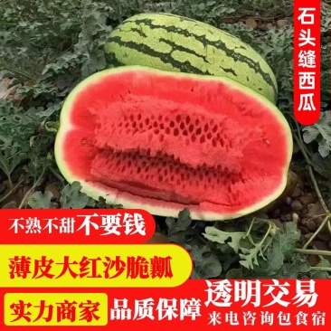 新农西瓜基地口感密甜熟度高代发全国现摘现采产地直发