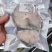 5斤起批发鲜冻鳕鱼块鳕鱼片宝宝辅食冷冻海鲜真鳕鱼