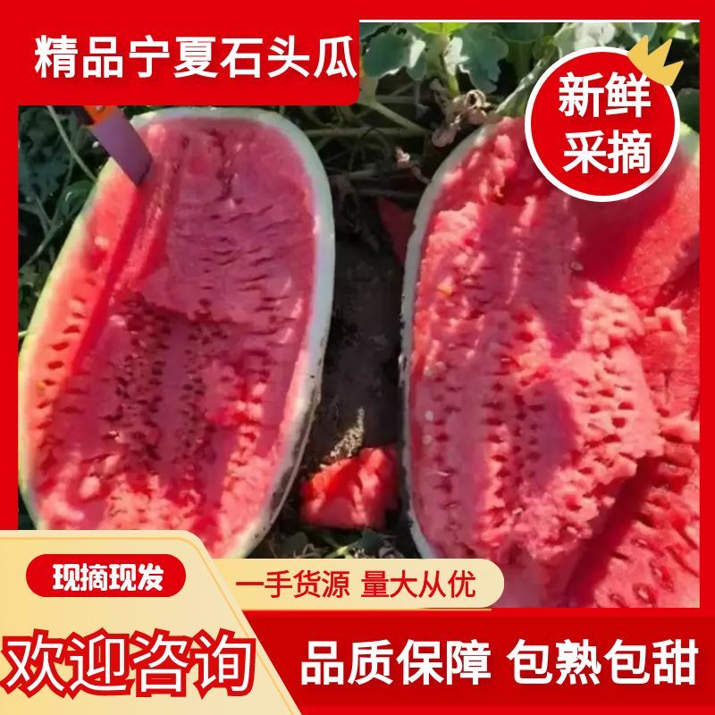 宁夏硒砂瓜，石头瓜中卫硒砂瓜售后无忧代发全国致电