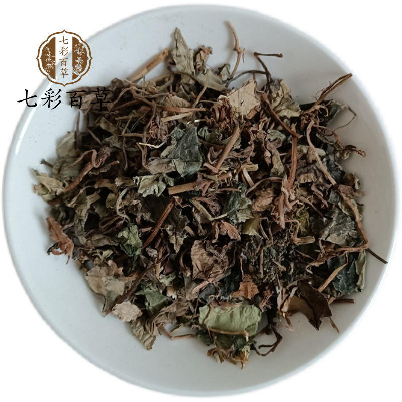 金钱草小叶金钱草精品好药尽在山东七彩百草