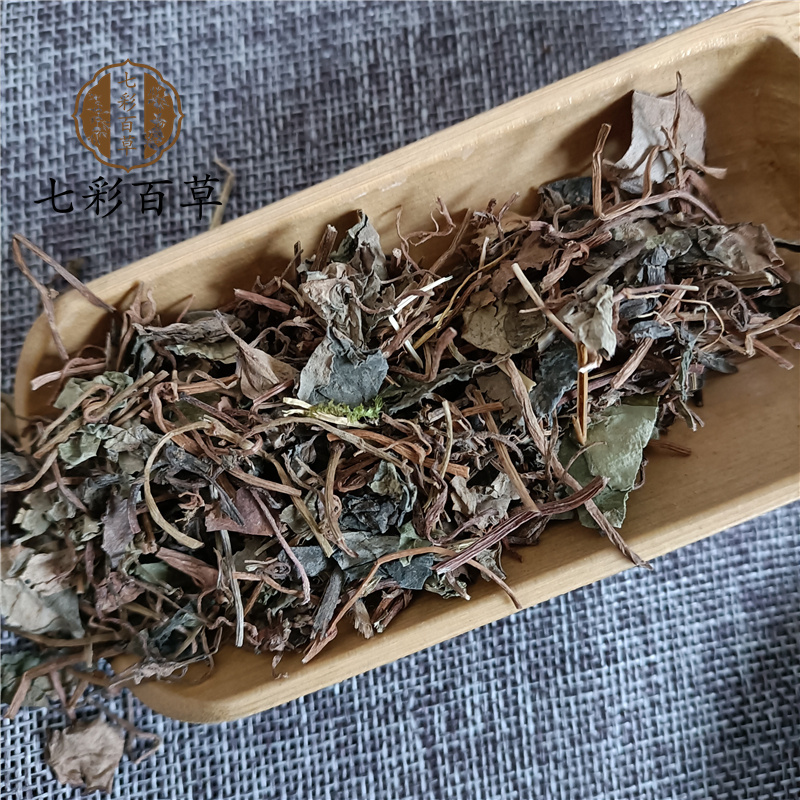 金钱草小叶金钱草精品好药尽在山东七彩百草