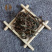 金钱草小叶金钱草精品好药尽在山东七彩百草