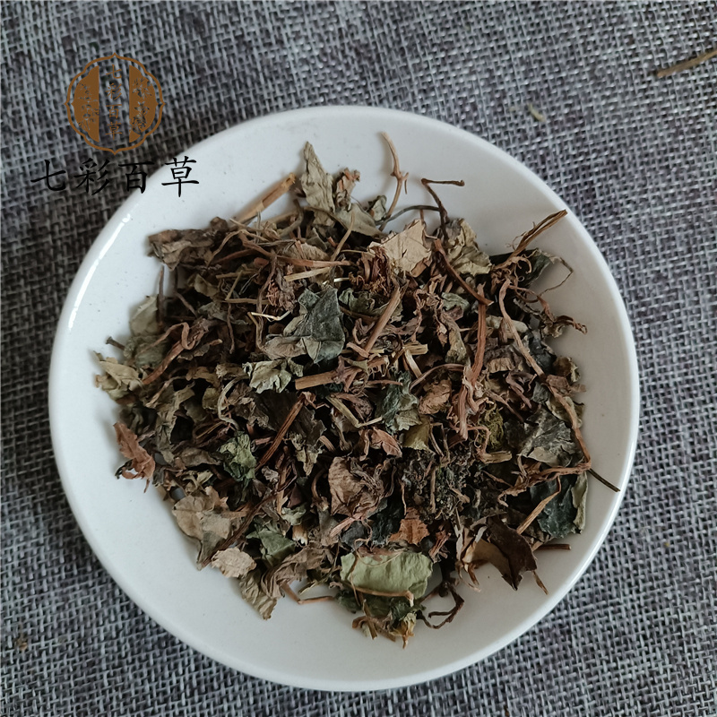 金钱草小叶金钱草精品好药尽在山东七彩百草