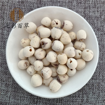 白莲子莲子山东七彩百草中药材批发多种规格产地供应