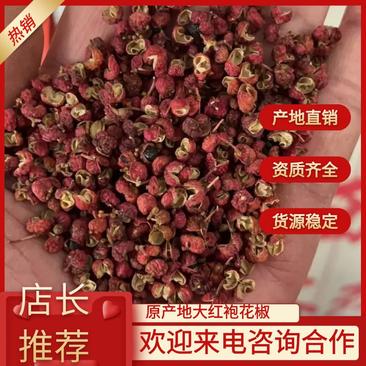 2022年新货大颗粒陕西大红袍上市，色选品质！