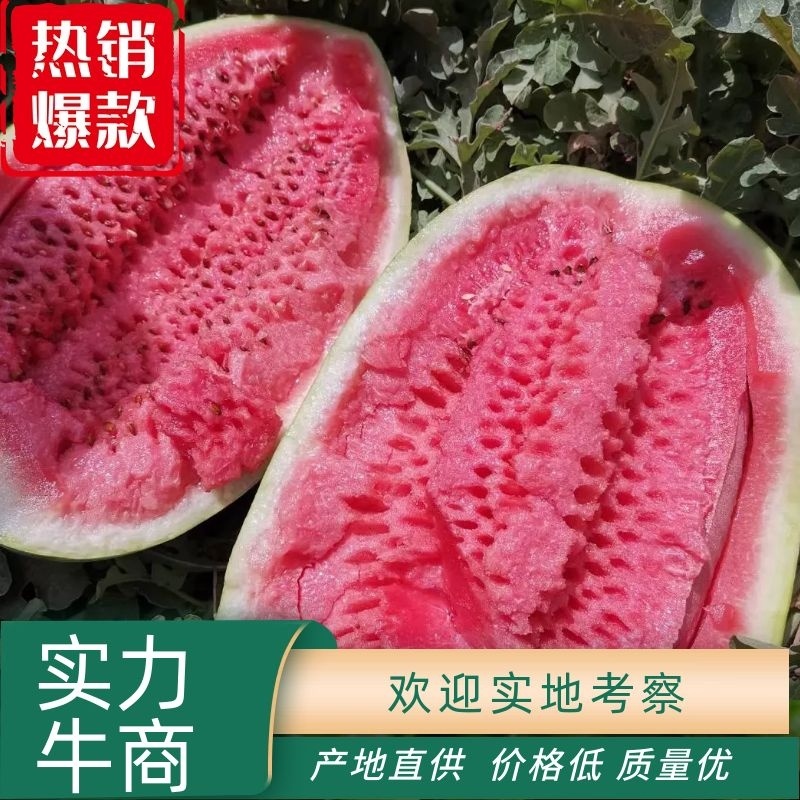 宁夏硒砂瓜，石头瓜，一手货源，产地直销，大吨位供应，