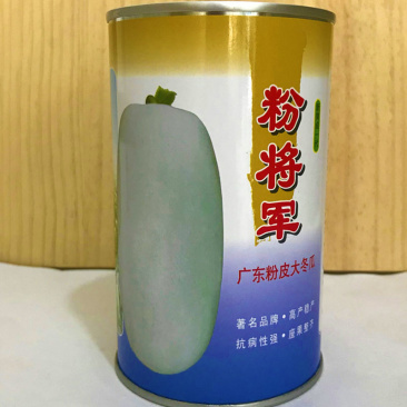 广东粉皮大冬瓜种子粉将军种籽巨型特大高产大面积种植