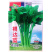 根达菜种子牛皮菜莙荙君达菜种籽易种四季播阳台种菜