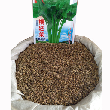 根达菜种子牛皮菜莙荙君达菜种籽易种四季播阳台种菜