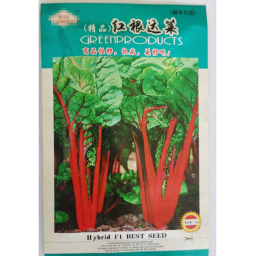 紫菜头甜菜根种子红根甜菜籽红菜头红心甜菜根露天基地种
