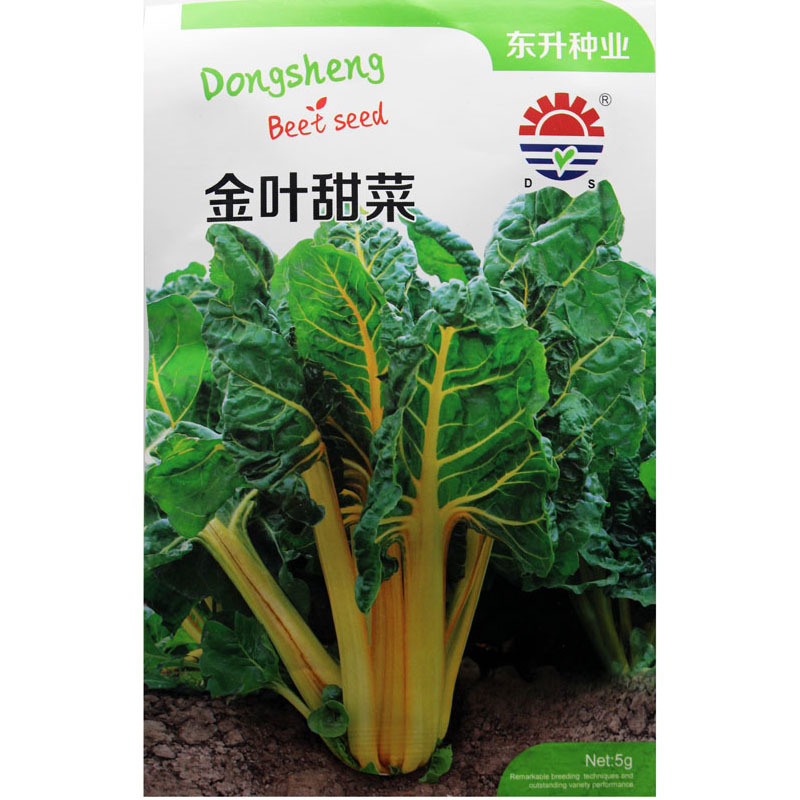 叶甜菜种子黄叶甜菜种子观赏特色蔬菜种子黄梗叶甜菜种