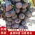 【精选】万亩精品夏黑葡萄夏黑个头均匀代办代发鲜货供应