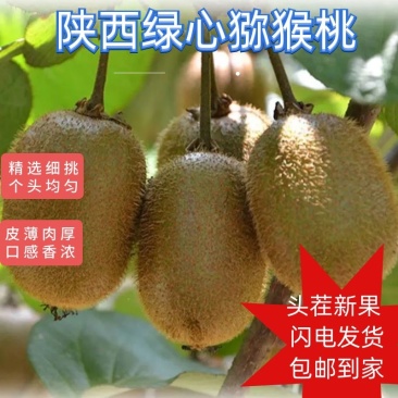 猕猴桃，支持一件代发，支持个大平台，社区团购，精品包装