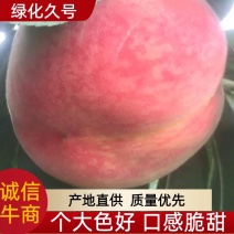 河北唐山乐亭产地直销久宝，绿化久号，个大色好，口感好，