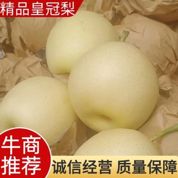 【河北黄冠梨】大量现货，欢迎客户洽谈合作诚信经营
