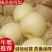 【河北黄冠梨】大量现货，欢迎客户洽谈合作诚信经营