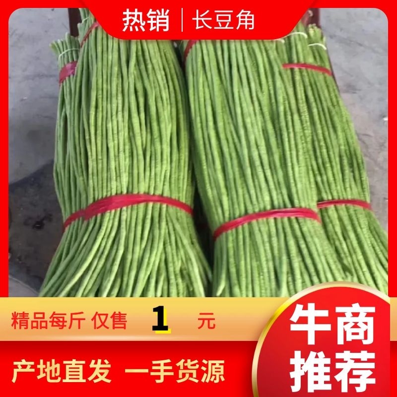 【热销】长豆角新鲜上市大量货源可长期稳定供货批发价