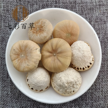 壮阳果山东七彩百草中药材批发多种规格产地供应