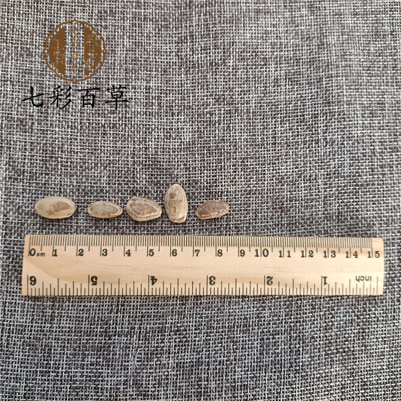 瓜蒌籽瓜蒌仁山东七彩百草中药材批发多种规格产地供