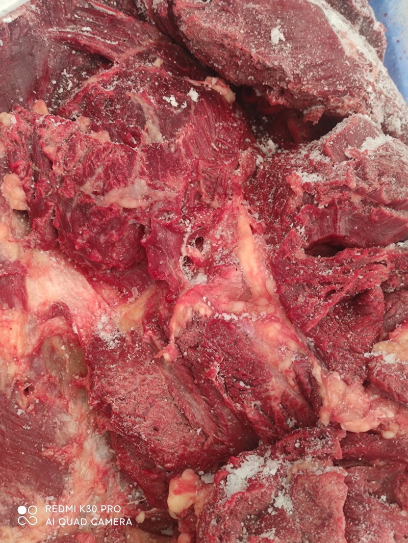 冷鲜冻马肉厂家直销，品质有保障，诚信经营，量大从优