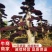 红花檵木桩景规格齐全基地直发视频看货品质保证