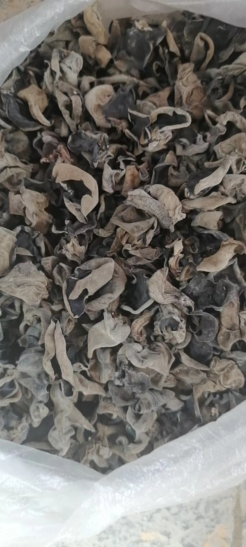 黑木耳供货电商社区团购批发商微商跑江湖供货全国发货代发