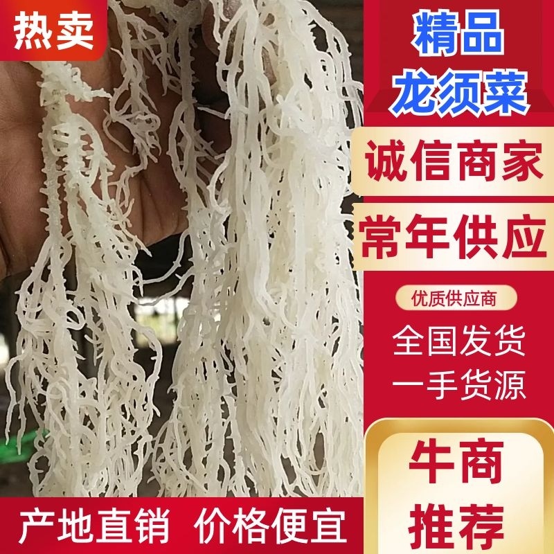龙须菜，产地发货，质量保证，全国发货，对接大型批发商