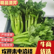 【推荐】清芹，口感**棒！生吃，西餐，欢迎联系