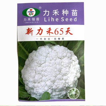 新力禾65天花椰菜种子杂耐热抗病台湾进口早熟型松