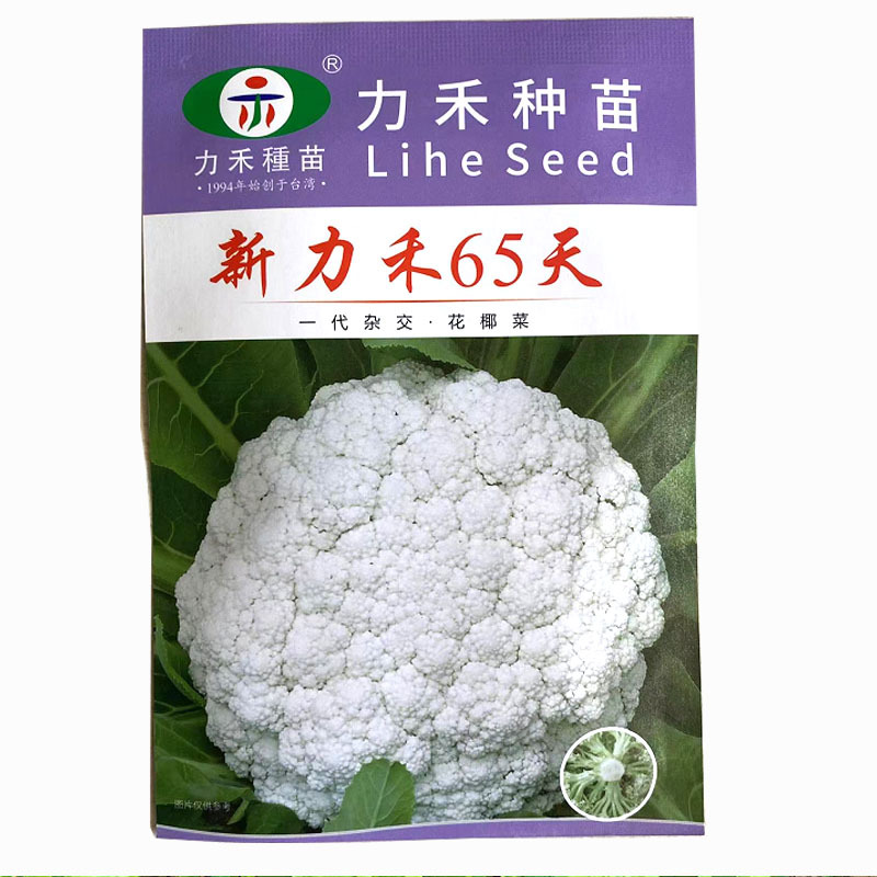 新力禾65天花椰菜种子杂耐热抗病台湾进口早熟型松